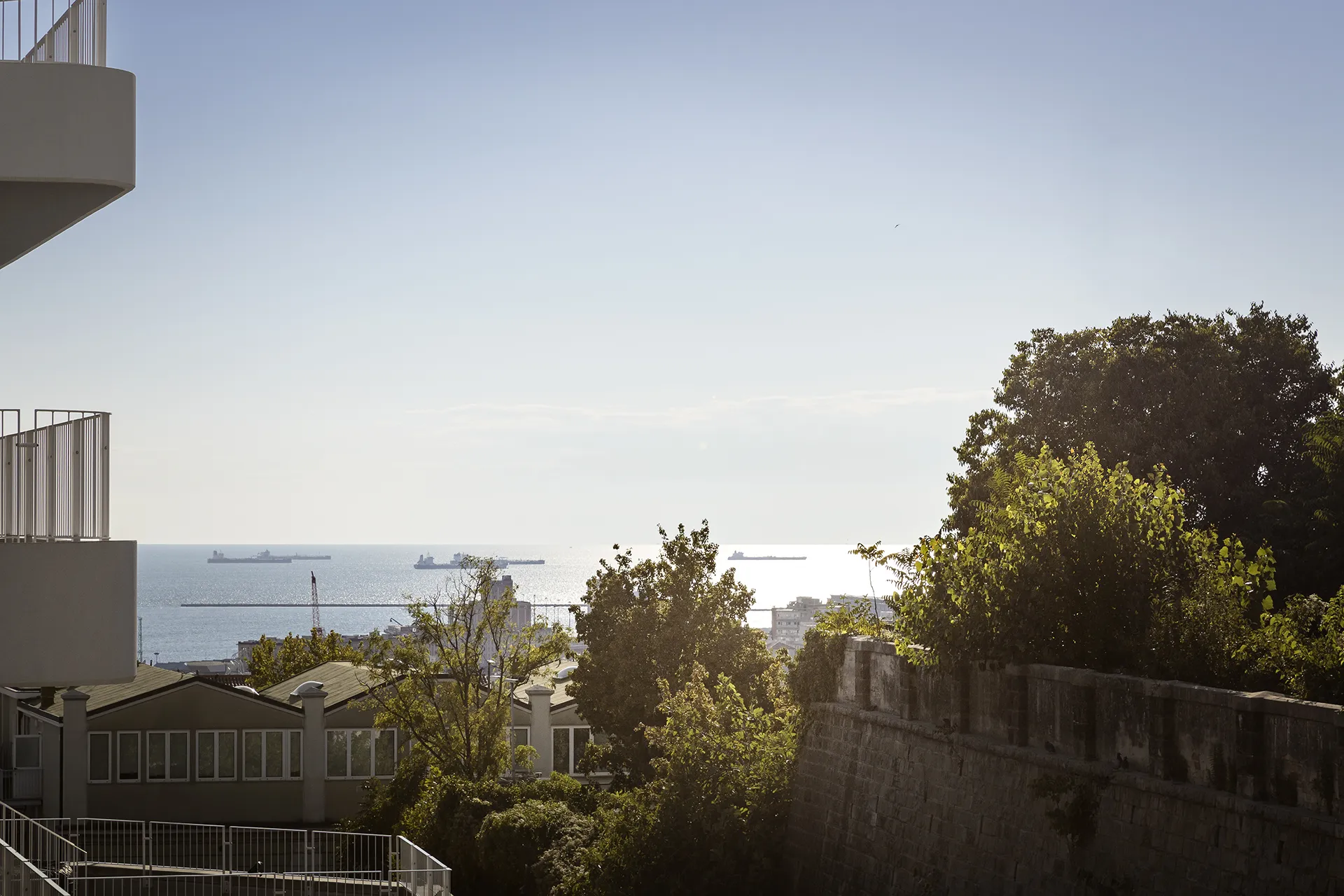 Vista sul mare da Trieste con alberi in primo piano, edifici urbani e diverse navi cargo all’orizzonte.